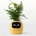 Умный цветочный горшок Zoeydam Ivy, Зелёный