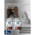 Влажный корм Original Choice VETDIET Gastrointestinal, для взрослых кошек с чувствительным пищеварением, 240 гр х 6 шт
