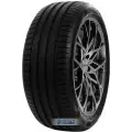 Автомобильные летние шины Delinte DS2 205/55 R17 95W