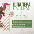 Шпалера садовая, шпалера для вьющихся растений, деревянная, ЭДИС, 46х179см, 2 шт