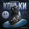 Коньки хоккейные прокатные Winter Star взрослые, размер 44, морозостойкий пластик, лезвие из нержавеющей стали 3 мм, для катания на льду, зимних видов спорта и подвижных спортивных игр