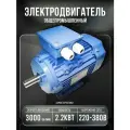 Электродвигатель 380В 2,2кВт/3000об/мин вал 22мм лаповый 1081 VEMPER