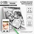 Алмазная мозаика по фото с полным заполнением «Gray», на холсте с подрамником, 30 х 40 см