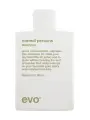 Evo normal person Шампунь для восстановления баланса кожи головы, 300 мл