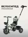 Велосипед детский трехколесный RANT basic RB252 DANDY Green