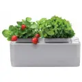 Умный сад с электронным контролем уровня воды iGarden, 12х13х28 см