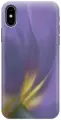Силиконовый чехол на Apple iPhone Xs / X / Эпл Айфон Икс / Икс Эс с рисунком Фиолетовая фиалка