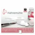 Hahnemuhle Альбом-склейка для акварели Expression, 300 г/м2, 24х30 см, 100% хлопок, 20 л, среднее зерно