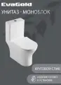 Унитаз напольный моноблок EvaGold безободковый, круговой смыв модель ND302.17 белый для ванной с гофрой и подводкой