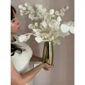 Эвкалипт стабилизированный популус Trava Decor сухоцвет для декора, для вазы