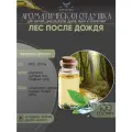Ароматическая отдушка Лес после дождя 100гр Sovantica Кема Клаб