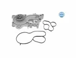 Водяной Насос Seat Ibiza Iv (6J1, 6J5, 6J8) (03/08-12/18) , Ibiza V (Kj1) (01/17-) , Mii (10/11-) Meyle 113 220 0027)
