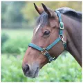 Недоуздок для лошади Shires Topaz, тёмно-зелёный, COB (Великобритания)