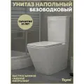 Унитаз напольный безободковый с быстросъемным сиденьем микролифт Teymi Helmi T40308