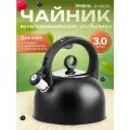 Чайник со свистком из нержавеющей стали на 3 литра, Eclipse PERFECTO LINEA (52-034303)