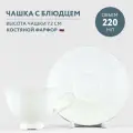 Чайная чашка с блюдцем, 220 мл. Форма Нега, рисунок Платиновая лента. Костяной фарфор. Императорский фарфоровый завод ИФЗ ЛФЗ
