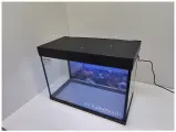 Аквариум ZelAqua Ланта 50 (510×260×460)мм (орех) с оборудованием