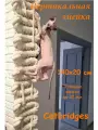 Вертикальная Змейка 140х20х3,2 см. С креплениями. Catbridges Настенный мост для кошек. Когтеточка. Лежанка.