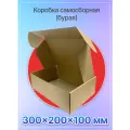 Коробка картонная для посылок самосборная 300х200х100 мм, Т-12 микрогофрокартон, 15 штук