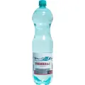 Минеральная вода Теберда-1, слабогазированная, гидрокарбонатно-хлоридная, 1.5л, 6шт
