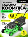 Газонокосилка GRASSMAN PLM-5560S, самоходная, с мульчированием, ширина захвата 46 см, травосборник 60 л
