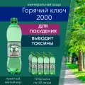 Вода минеральная Горячий Ключ 2000 газированная