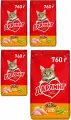 Сухой корм, Дарлинг, для взрослых кошек и котов, с птицей и добавлением овощей, 760г 4 шт