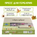 Пресс для гербария Pebaro BP1, березовая фанера, 30х30х9 см, бесцветный, 18 предметов