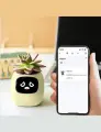 Цветочный горшок с автополивом PLANTSIO Ivy AI IO Ivy умный ассистент питомец с искусственным интеллектом