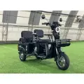 Трехколесный электроскутер грузопассажирский (трицикл) 3-ех местный Lenok (1200w Li-ion 60v 25Ah) черный
