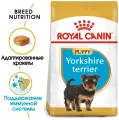 Royal Canin RC Для щенков Йоркширского терьера: до 10мес. (Yorkshire Puppy 29) 39720050R2 0,5 кг 11016 (2 шт)