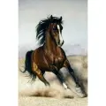 Алмазная мозаика на подрамнике 50x65 см. BoomBoomShop. Коричневый конь