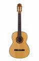 PRIMA DSCG603 - гитара классическая 4/4