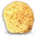 Губка структурная натуральная морская Boldrini, 120х120 мм, 55224