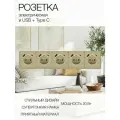 Розетка с тонкой рамкой, 5 постов (электрическая с USB и Type C)