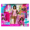 Кукла Barbie Бруклин с аксессуарами HHM39