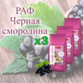 Смесь сухая для RAPF-COFFE РАФ со вкусом черная смородина, пакет, 3шт / 3кг