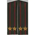 Погоны ОВ оливковые со скосом, подполковник
