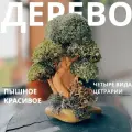 Бонсай 25 см, интерьерный декор сухоцветы / Цетрария живая, дерево из исландского мха
