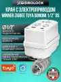 Кран шаровой с электроприводом Gidrolock Winner Zigbee Tuya Bonomi 1/2 BS