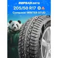 Шина Compasal(Компасал) Winter Stud 205/50 R17 93T зимняя автомобильная шипованная