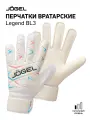 Вратарские перчатки футбольные Jogel Legend BL3 Flat, размер 6
