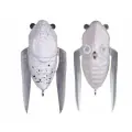 Воблер (жук-цикада) Megabass TINY SIGLETT (30.0мм, 2.7гр, плавающий) - FF WHITE BUTTERFLY