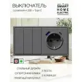 Выключатель света с розеткой с USB и Type C, 2 поста (3кл.+1роз.)