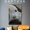 Картина на холсте Собака, золотистый ретривер, ретривер на подрамнике 75х120 см. для интерьера