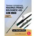 Удочка для рыбалки Maximus PRINCE BOLOGNESE 400 4.0 м, удочка с кольцами, удилище поплавочное