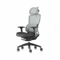 Компьютерное кресло Eureka Ergonomic LARK Gray