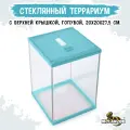 MCLANZOO Террариум стеклянный с верхней крышкой, голубой, 20х20хН27.5см