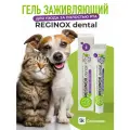Reginox Dental - гель заживляющий для полости рта
