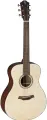 Акустическая гитара BATON ROUGE X11LS/F